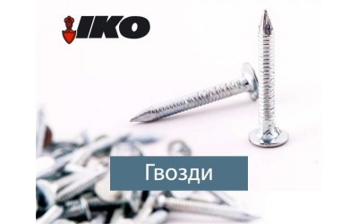 Цвях покрівельний кільцевий 3.1 x 30 К б/ц (уп 5 кг/1)